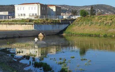 Ξεκίνησε το Πρόγραμμα καταπολέμησης κουνουπιών της Περιφερειακής Ενότητας Δυτικής Αττικής για το έτος 2019