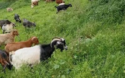 Ο πραγματικός πλούτος της Ελλάδος