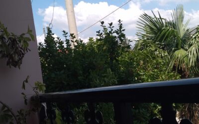 ΜΕ ΚΛΕΙΣΤΑ ΜΑΤΙΑ ΚΑΙ ΦΩΤΑ ΒΛΕΠΟΥΜΕ ΚΑΛΥΤΕΡΑ