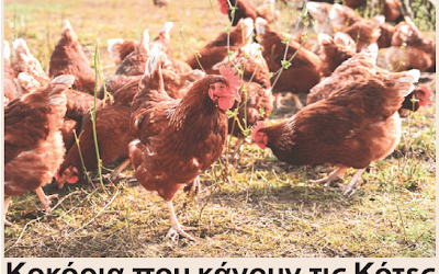 Κοκόρια που κάνουν τις Κότες